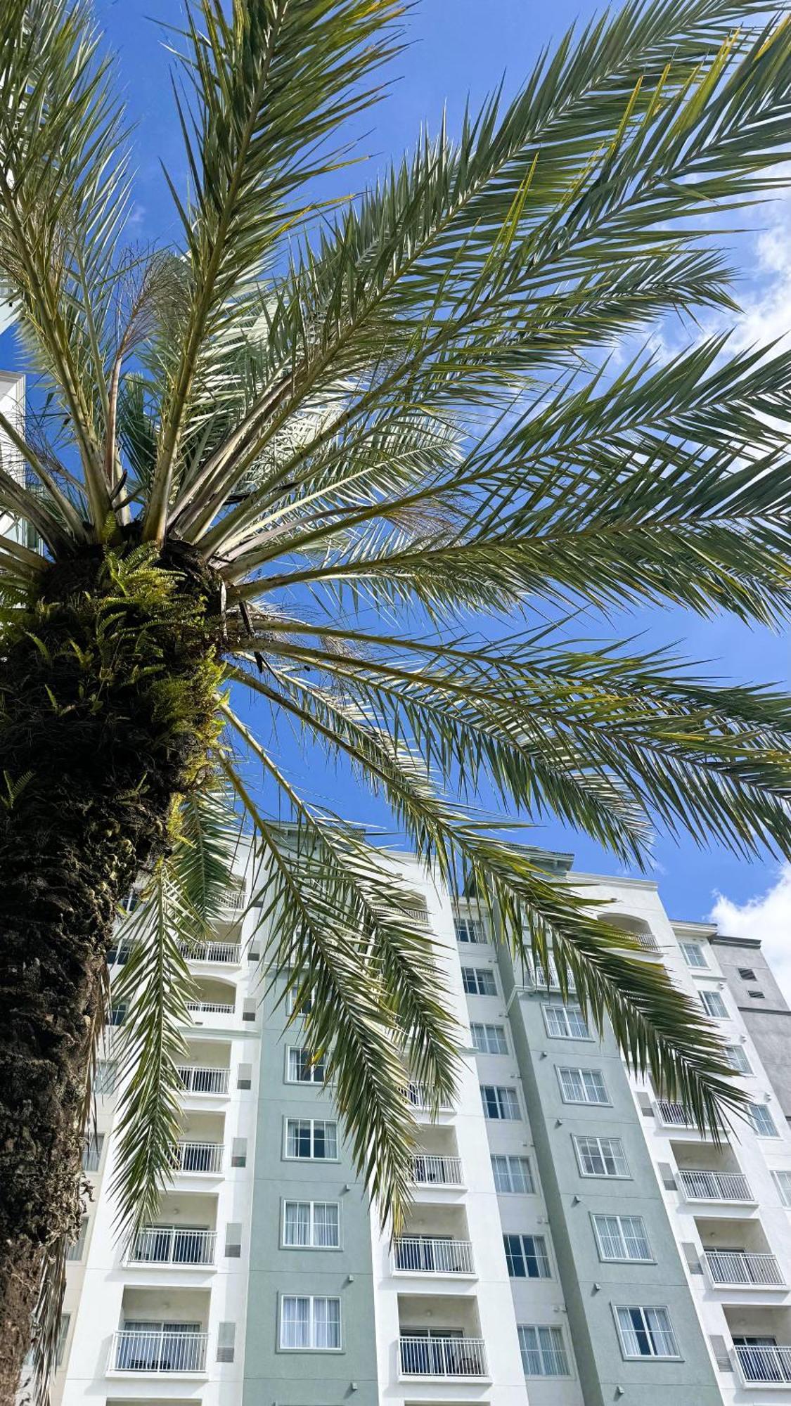 The Point Hotel & Suites Universal Orlando Eksteriør billede